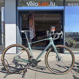 GIANT REVOLT ADVANCED PRO 1 2025