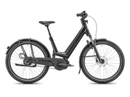 MOUSTACHE MARDI 27.6 FS LIGHT